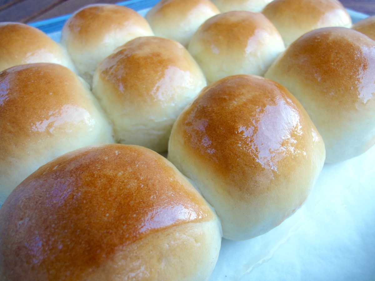 Dinner Rolls 