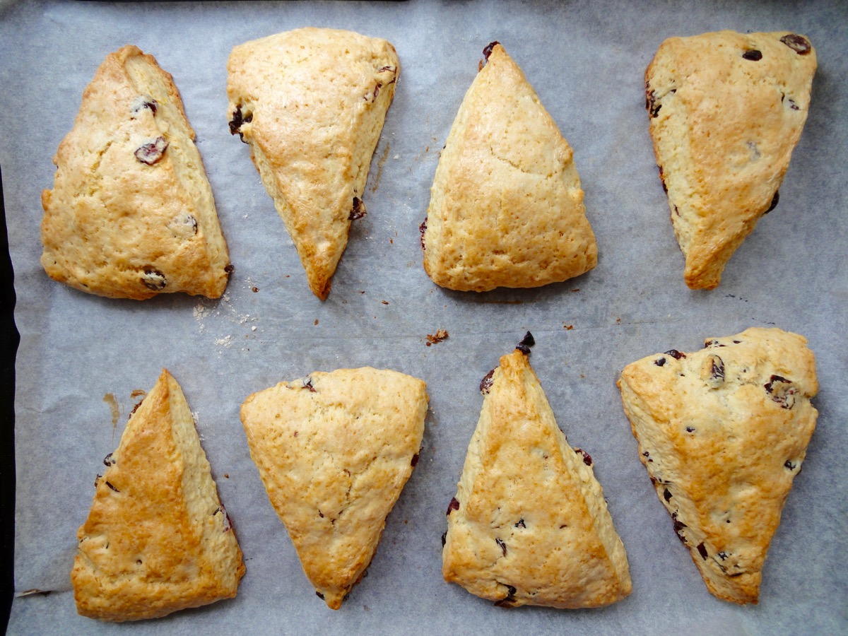 Cranberry Lemon Scones